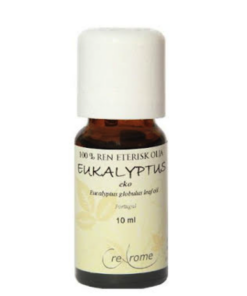 Eucalyptus aroma olja